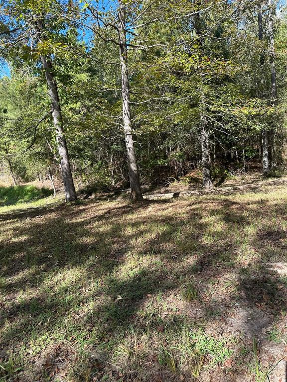 11420 County Road 420 Property Photo 13