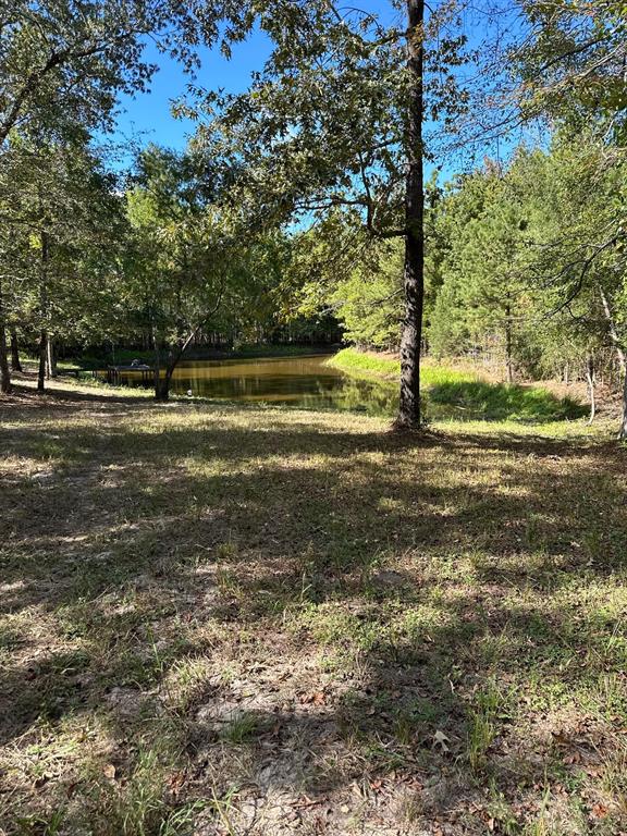 11420 County Road 420 Property Photo 14