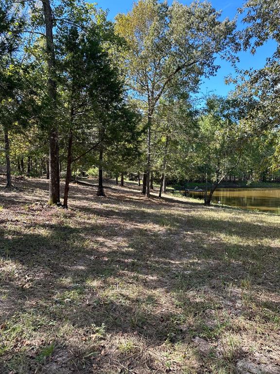 11420 County Road 420 Property Photo 15