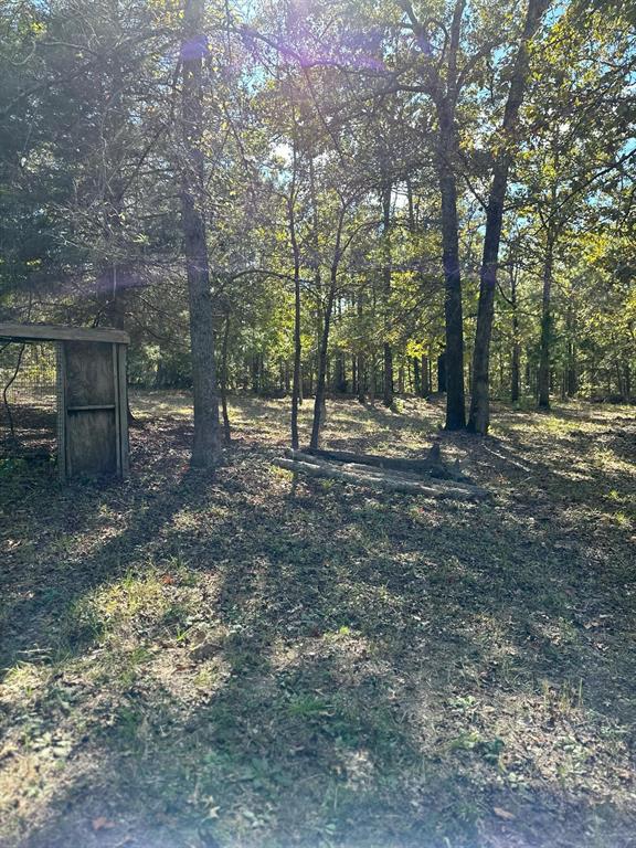 11420 County Road 420 Property Photo 16