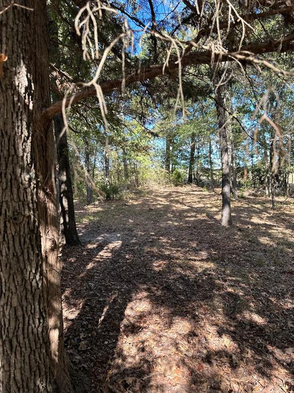 11420 County Road 420 Property Photo 17