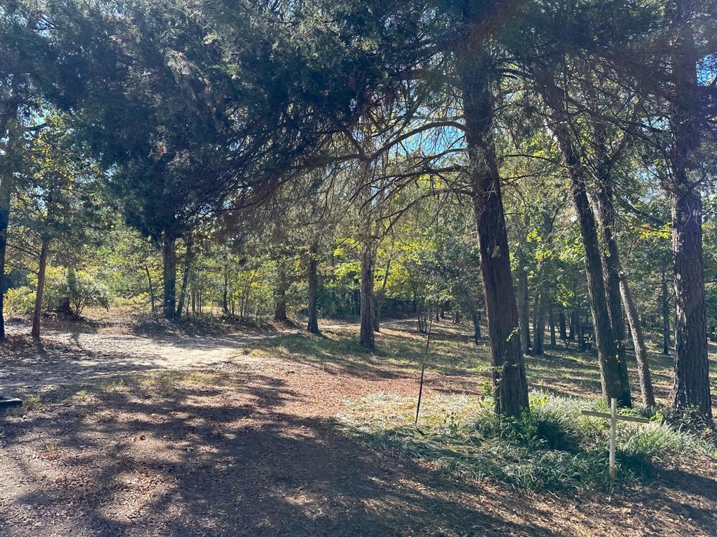 11420 County Road 420 Property Photo 18