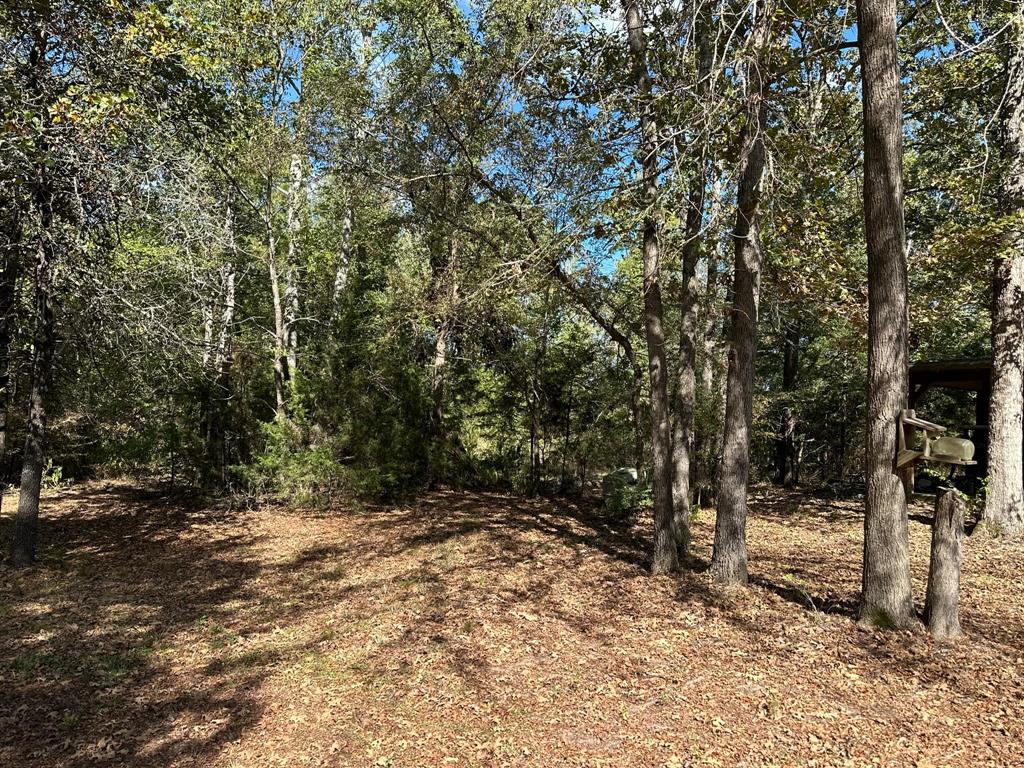 11420 County Road 420 Property Photo 19