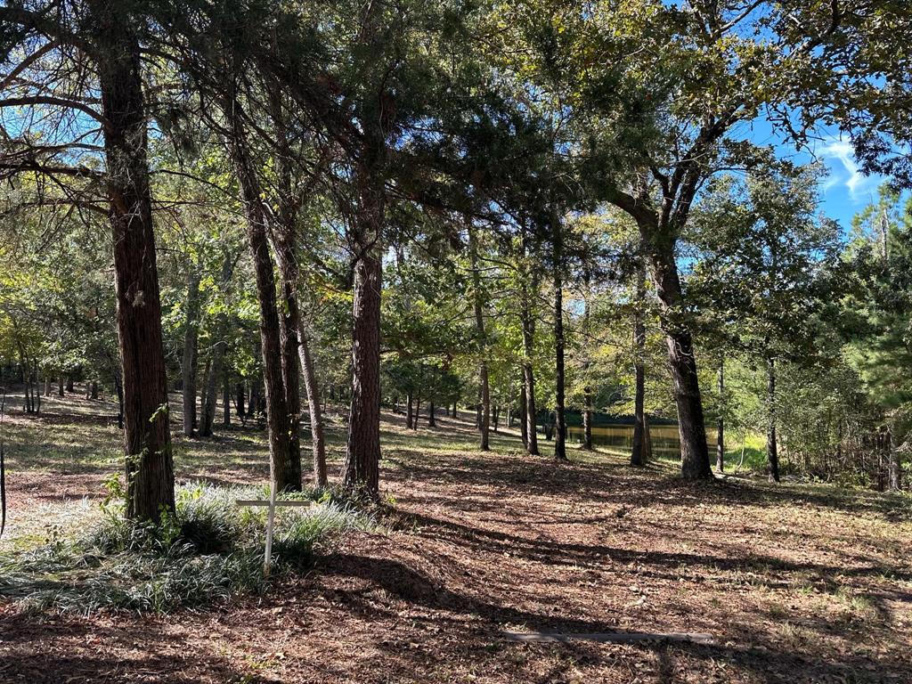 11420 County Road 420 Property Photo 20