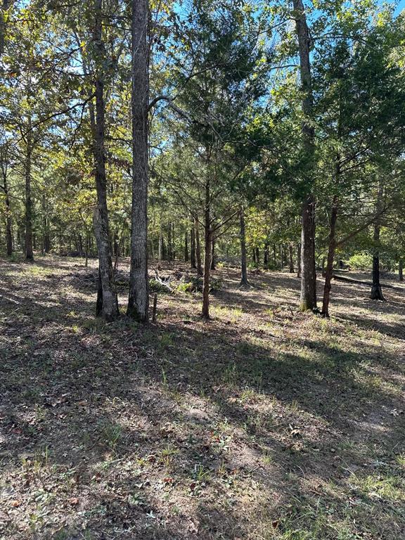 11420 County Road 420 Property Photo 21