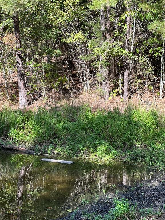 11420 County Road 420 Property Photo 22