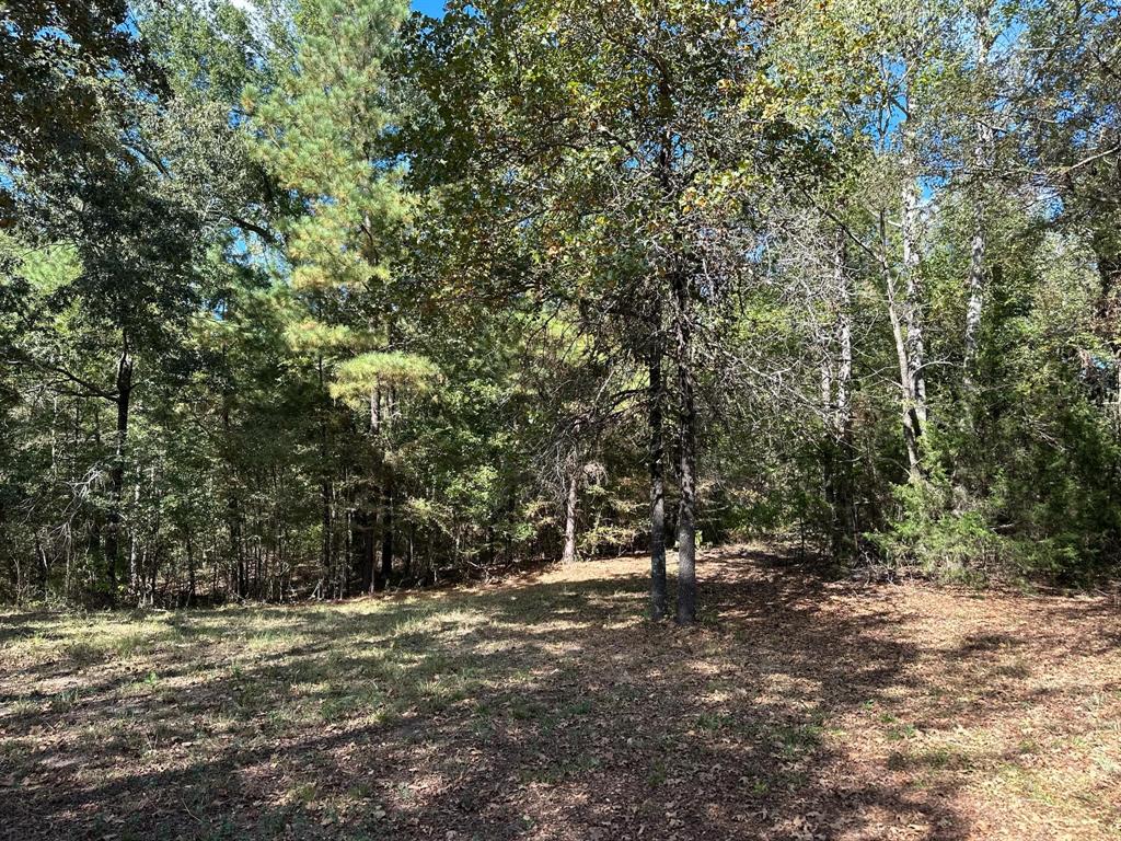 11420 County Road 420 Property Photo 23