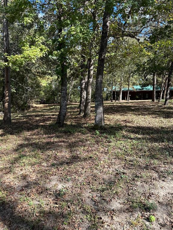 11420 County Road 420 Property Photo 24