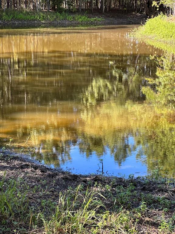 11420 County Road 420 Property Photo 25