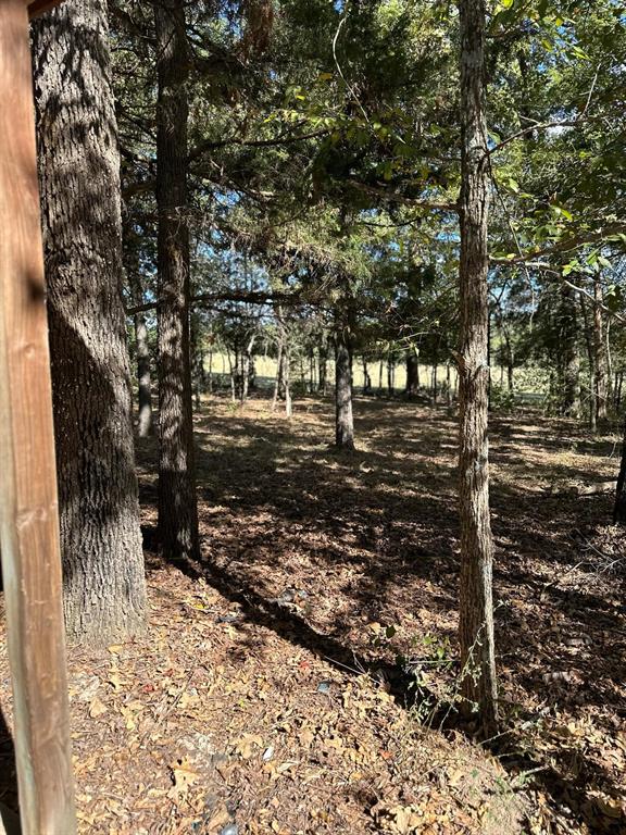 11420 County Road 420 Property Photo 27