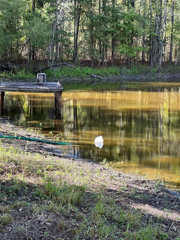 11420 County Road 420 Property Photo 28