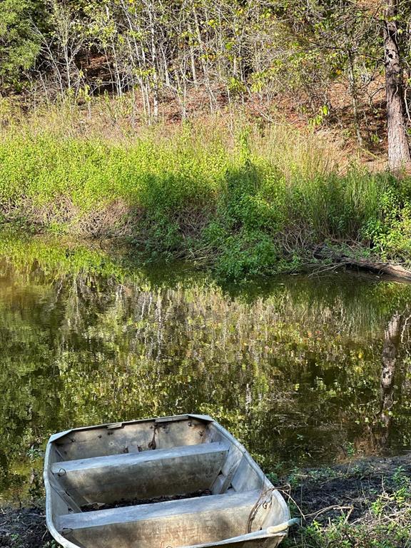 11420 County Road 420 Property Photo 29