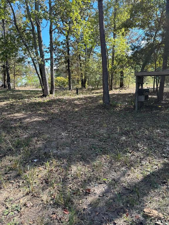 11420 County Road 420 Property Photo 30