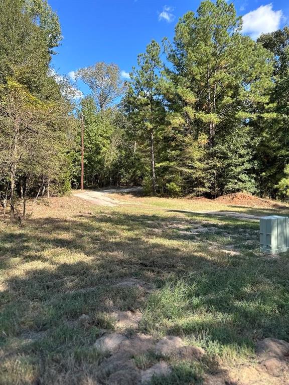 11420 County Road 420 Property Photo 32