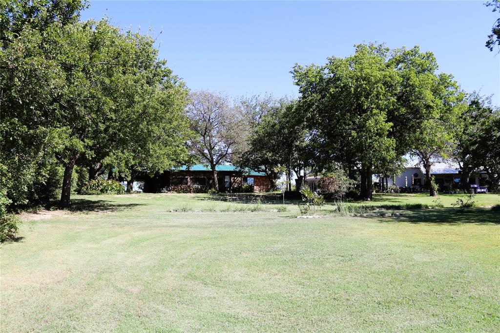 246 Short Street Property Photo 6