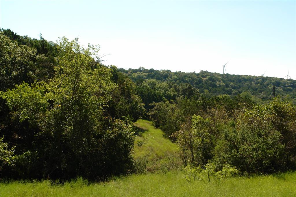 131 County Road 317 Property Photo 19