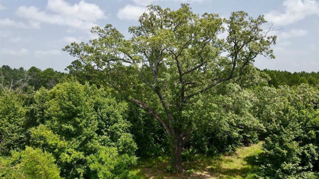 782 N 4830 Road Property Photo 32