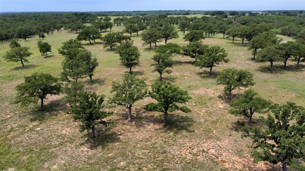 1021 Drover's Trail Property Photo 6