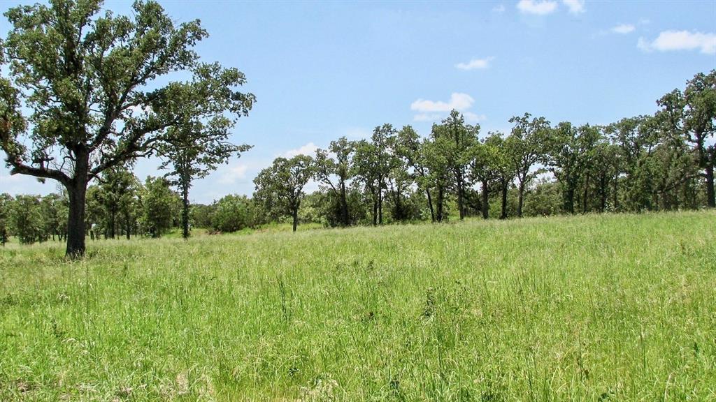 1001 Drover's Trail Property Photo 3