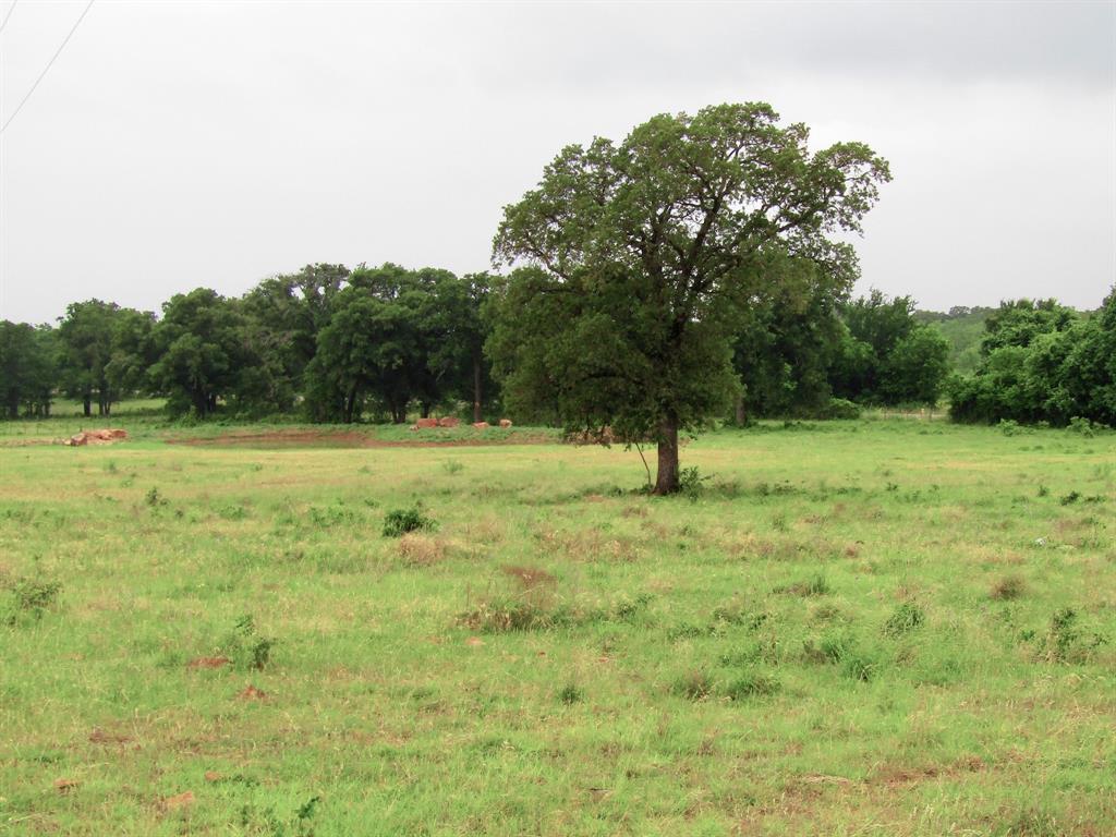 1020 Camp Trail Property Photo 8