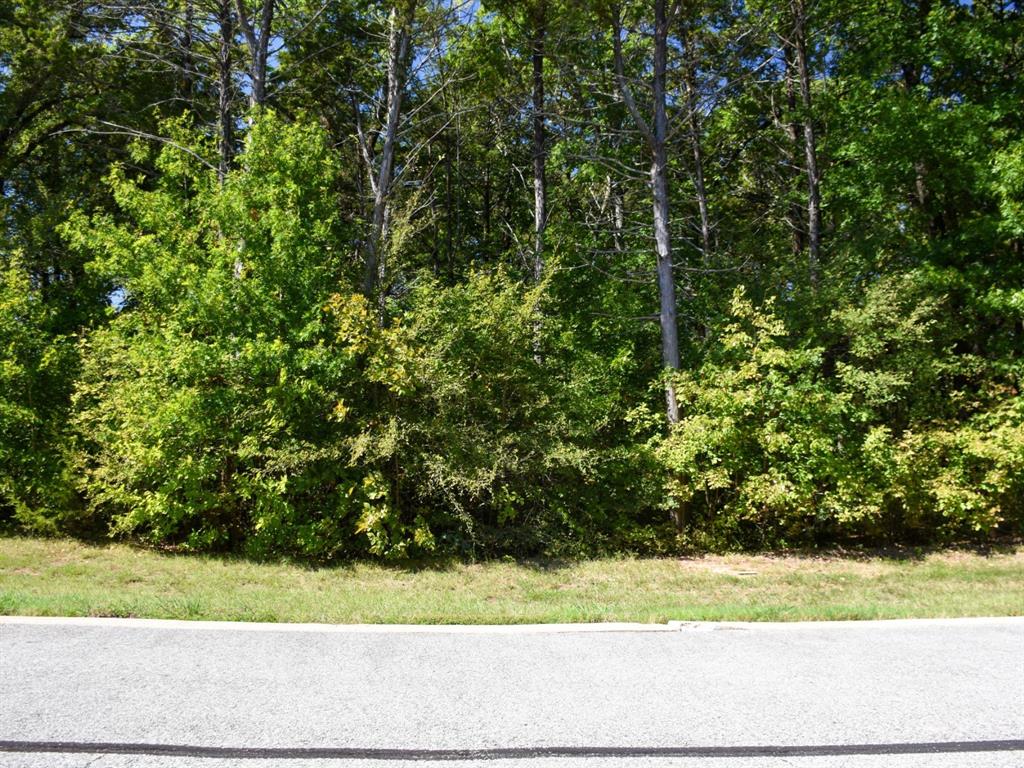 Tbd Annadale Lane Property Photo 4