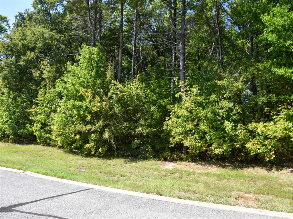 Tbd Annadale Lane Property Photo 5