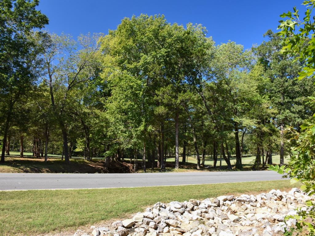 Tbd Annadale Lane Property Photo 6