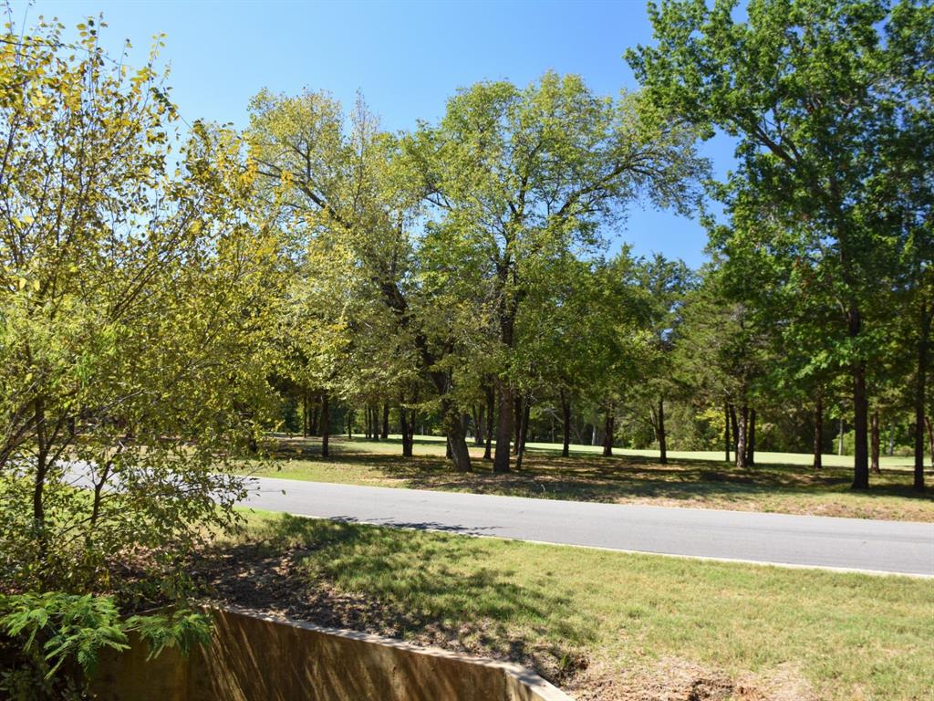 Tbd Annadale Lane Property Photo 7