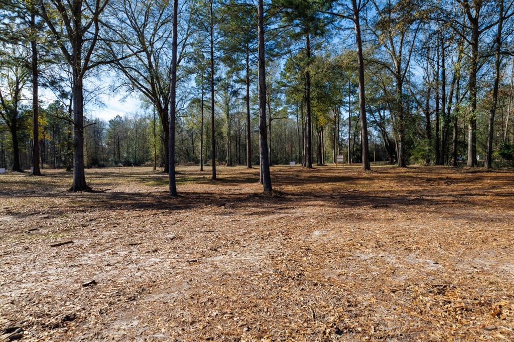 Tbd (lot 1) County Road 3545 Property Photo 2