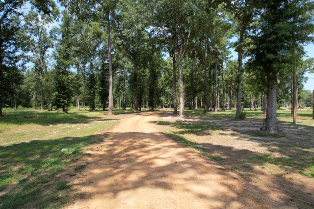 Tbd (lot 1) County Road 3545 Property Photo 4