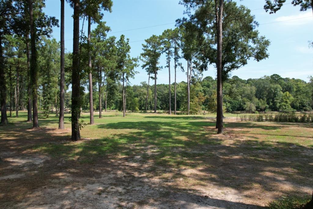 Tbd (lot 1) County Road 3545 Property Photo 6