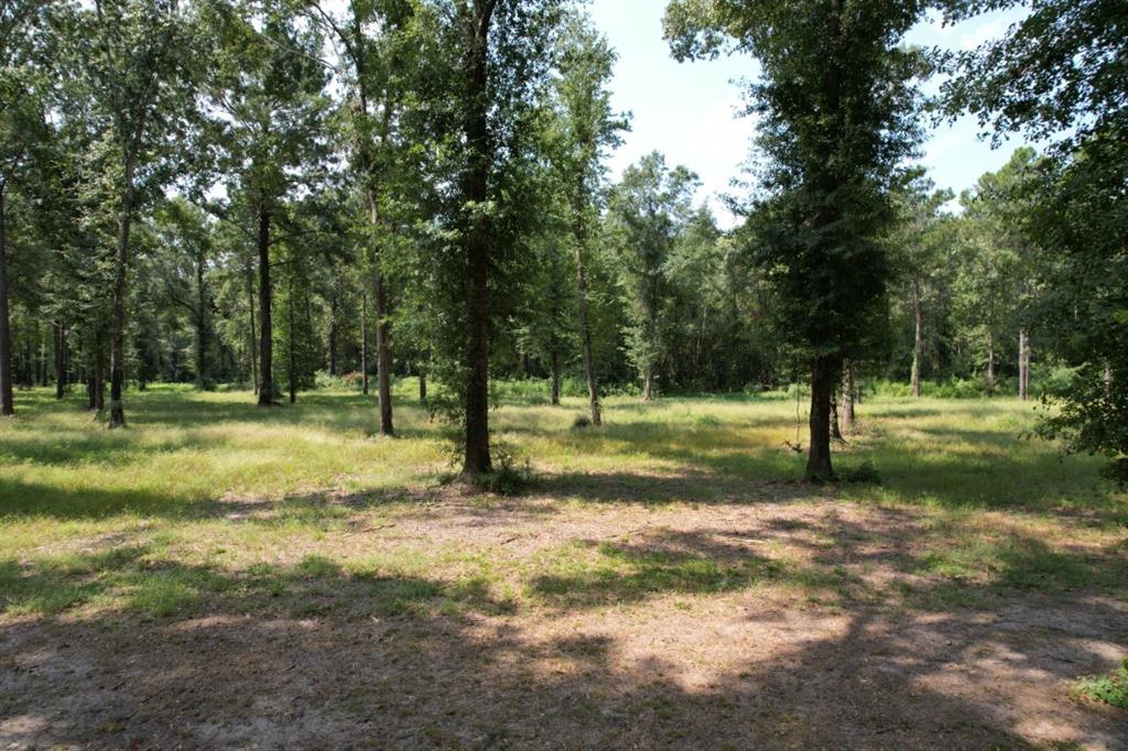 Tbd (lot 1) County Road 3545 Property Photo 16