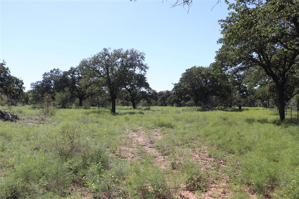 15 Ac. Tbd, Tract 1 County Road 186 Property Photo