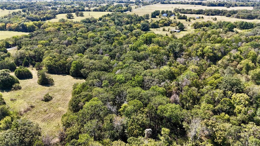 11532 Fm 1651 Property Photo 2