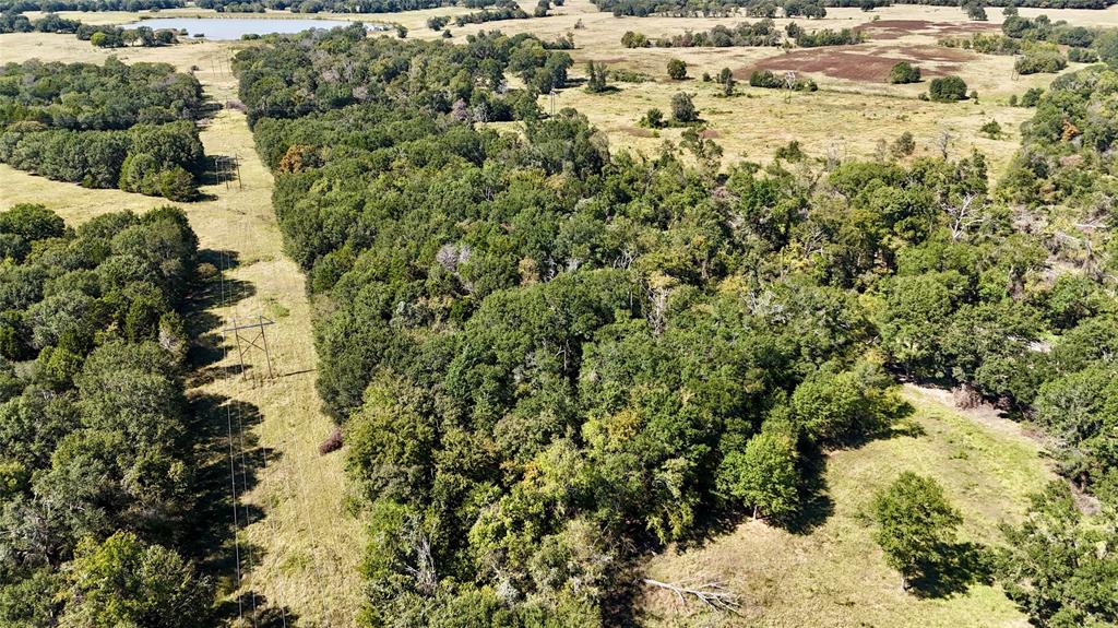 11532 Fm 1651 Property Photo 3