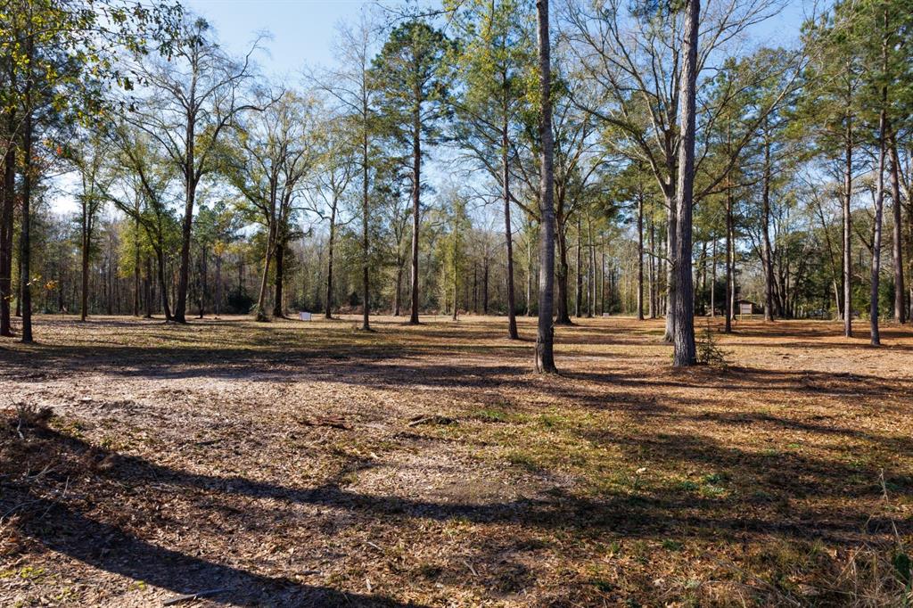 Tbd (lot 2) County Road 3545 Property Photo 4