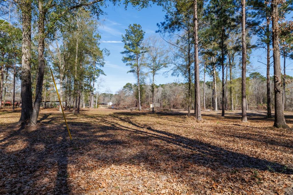 Tbd (lot 2) County Road 3545 Property Photo 20