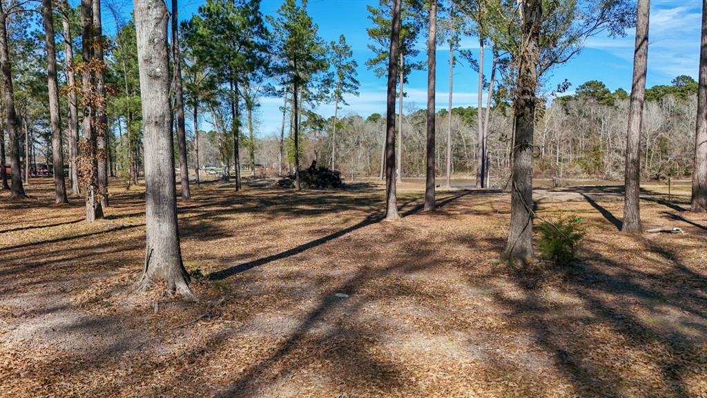 Tbd (lot 2) County Road 3545 Property Photo 22