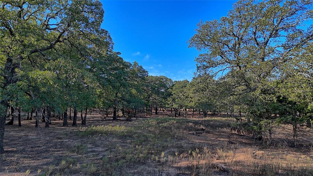 Tbd Thompson Road Property Photo 1
