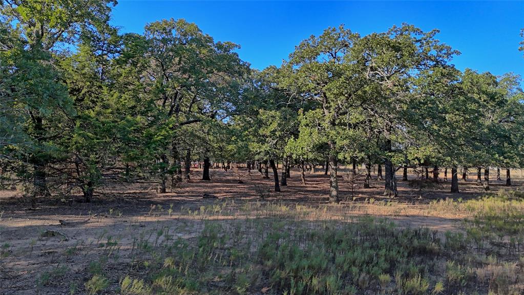 Tbd Thompson Road Property Photo 3