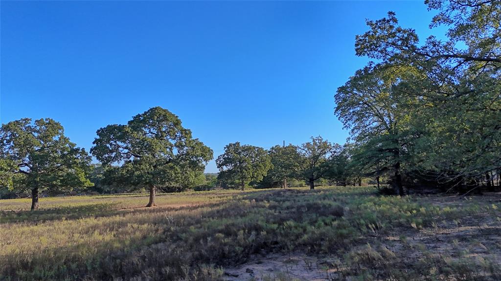 Tbd Thompson Road Property Photo 4