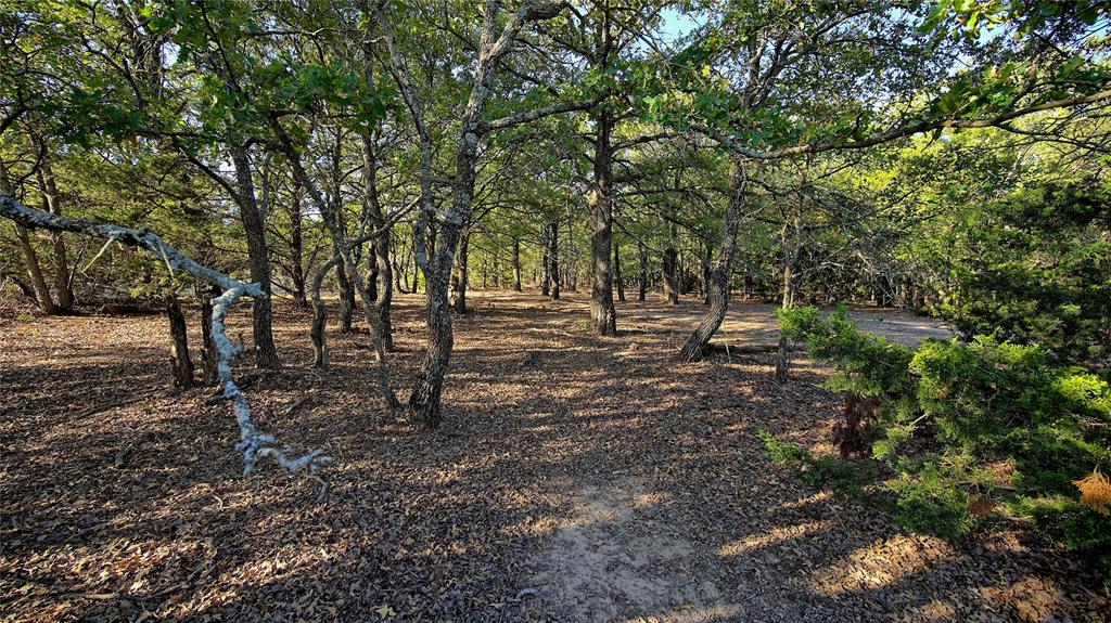 Tbd Thompson Road Property Photo 5