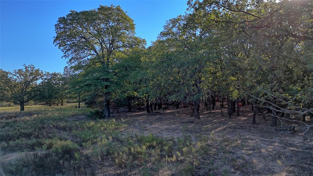 Tbd Thompson Road Property Photo 9