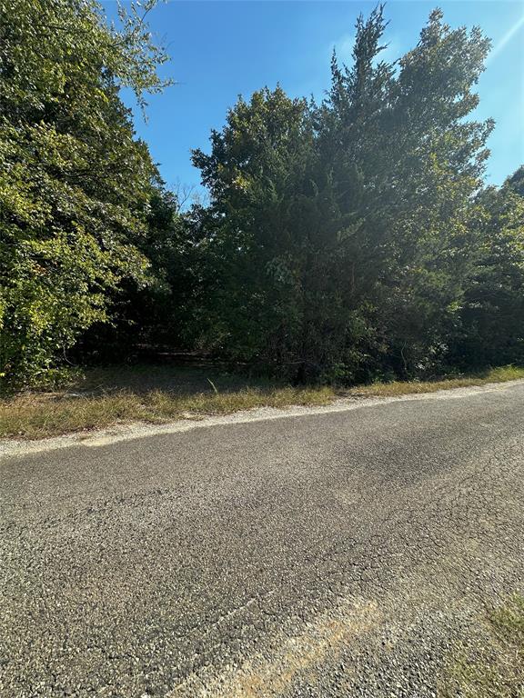 66 Shady Woods Lane Property Photo 2