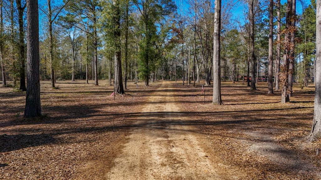 Tbd (lot 4) County Road 3545 Property Photo
