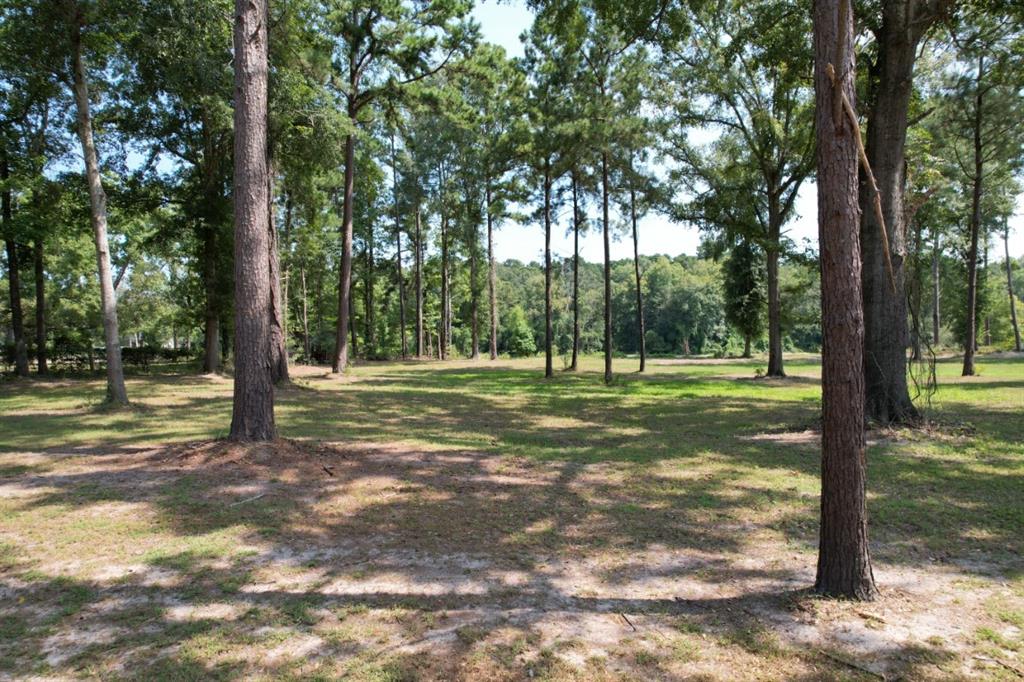 Tbd (lot 4) County Road 3545 Property Photo 7