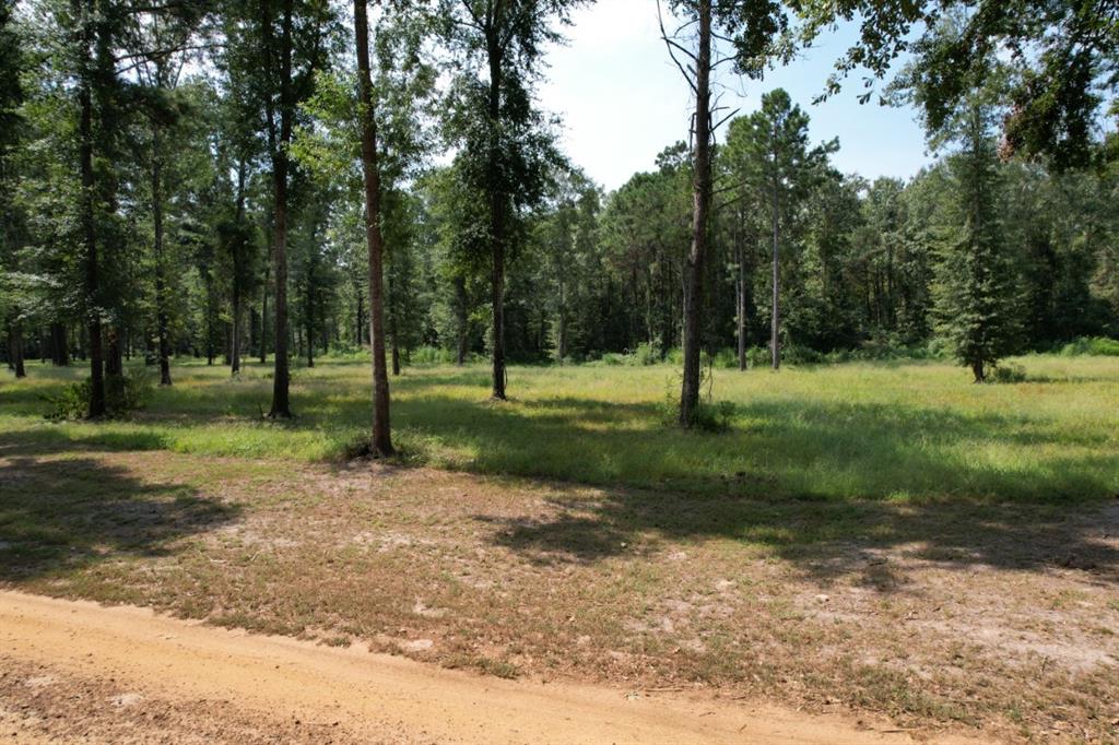 Tbd (lot 4) County Road 3545 Property Photo 9