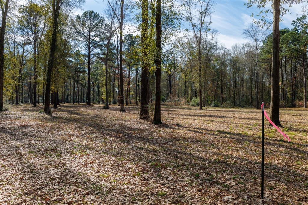 Tbd (lot 4) County Road 3545 Property Photo 13