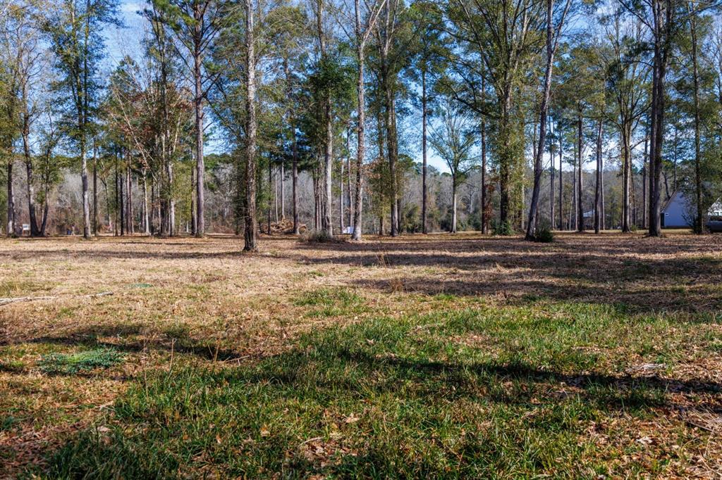 Tbd (lot 4) County Road 3545 Property Photo 14