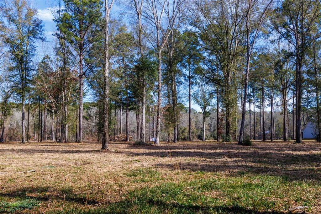 Tbd (lot 4) County Road 3545 Property Photo 15